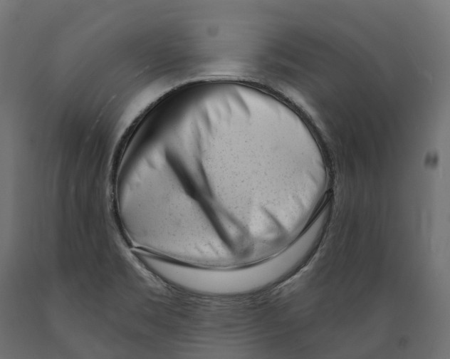 X0000088901469200707061443