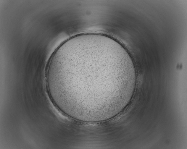 X0000088901470200707061443