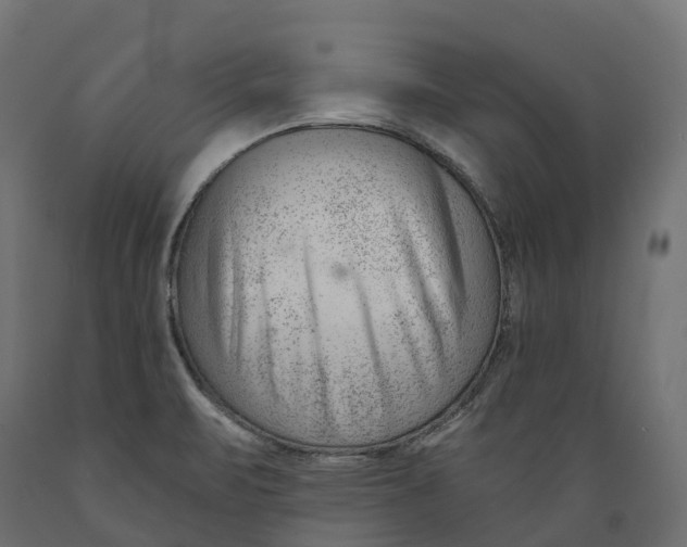 X0000088901471200707061443