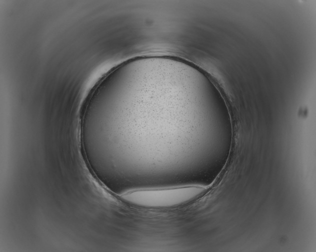 X0000088901472200707061443