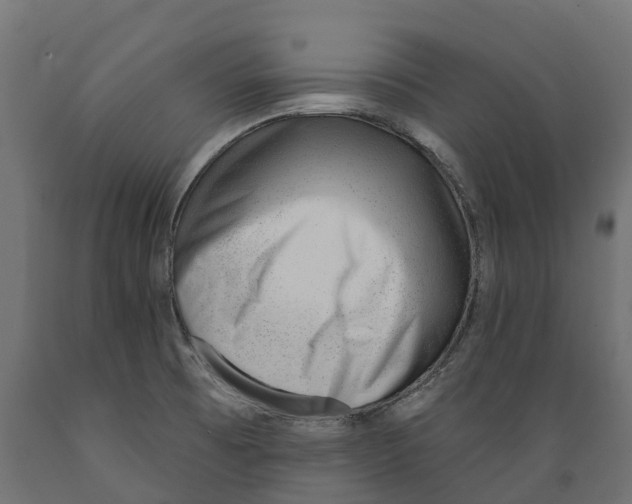 X0000088901473200707061443