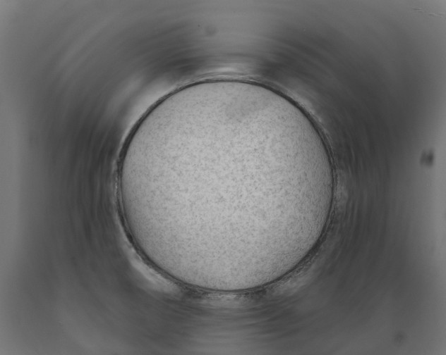 X0000088901474200707061443