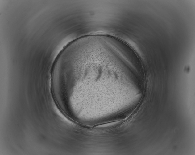 X0000088901476200707061443