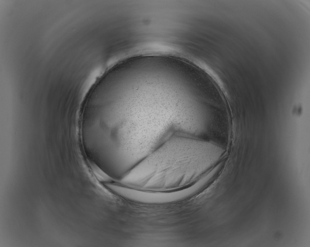 X0000088901477200707061443