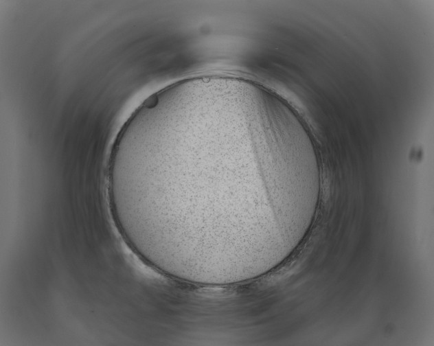 X0000088901478200707061443