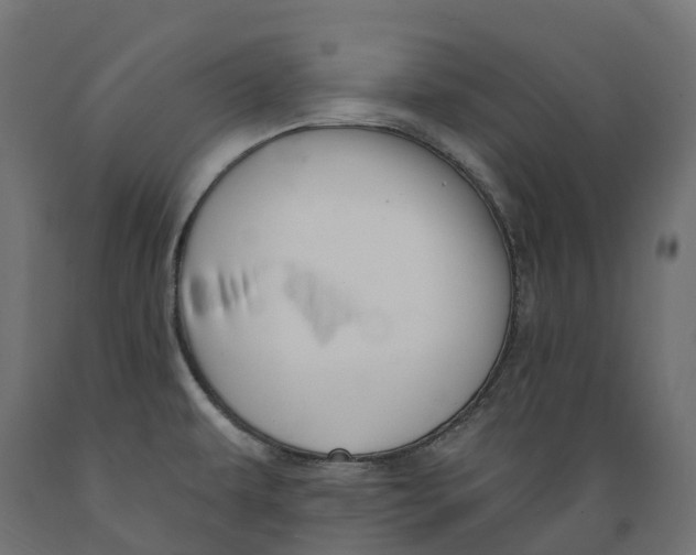 X0000088901479200707061443