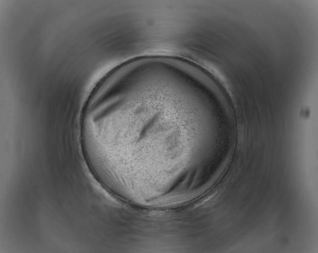 X0000088901480200707061443