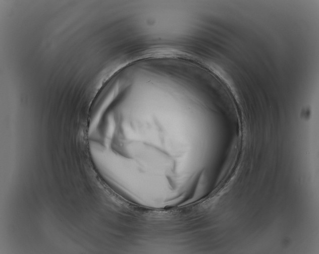 X0000088901481200707061443