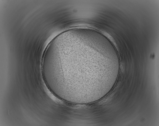 X0000088901482200707061443