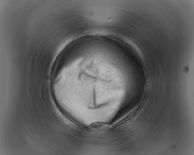 X0000088901483200707061443