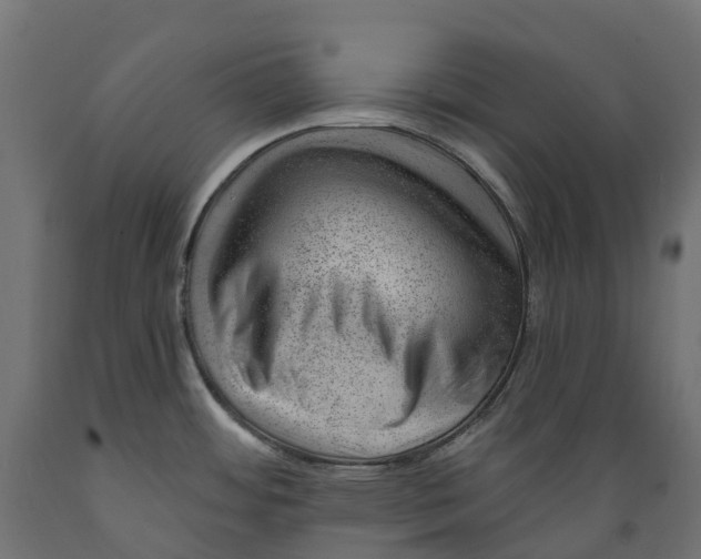 X0000088901484200707061443