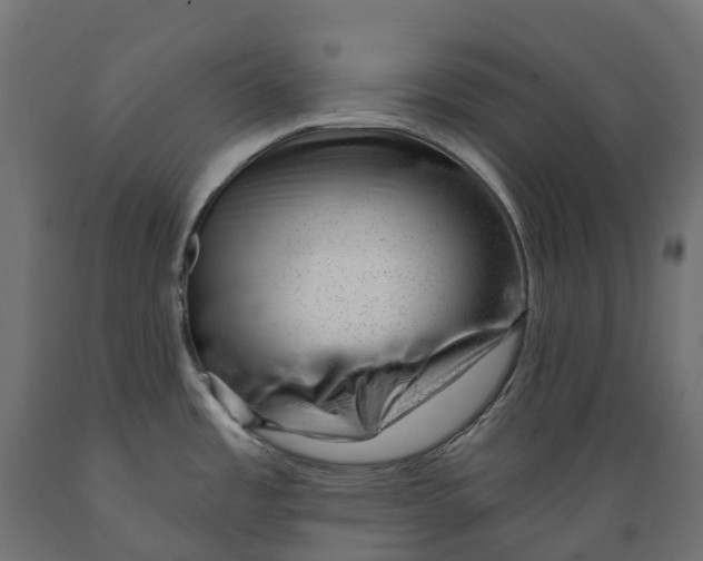 X0000088901485200707061443