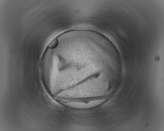 X0000088901486200707061443