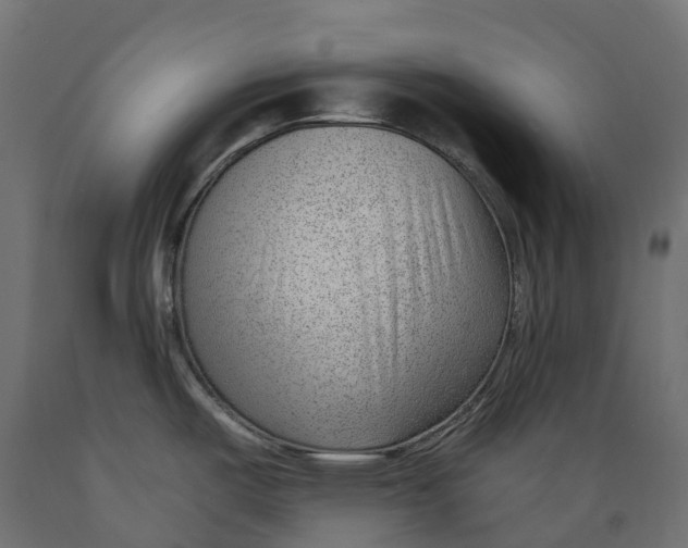 X0000088901487200707061443