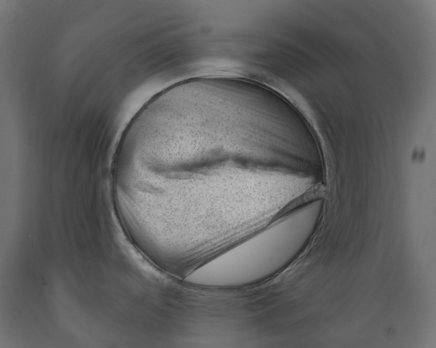 X0000088901488200707061443