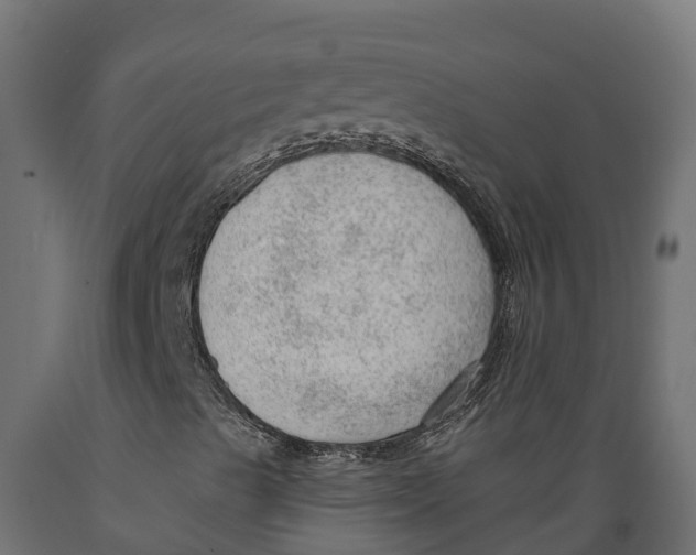 X0000088901489200707061442