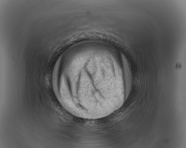 X0000088901490200707061442