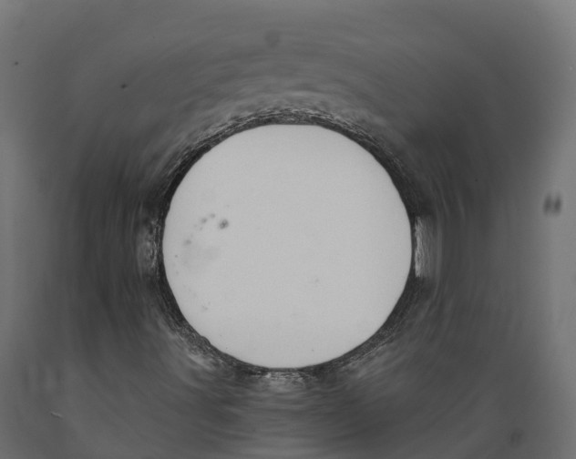 X0000088901491200707061442