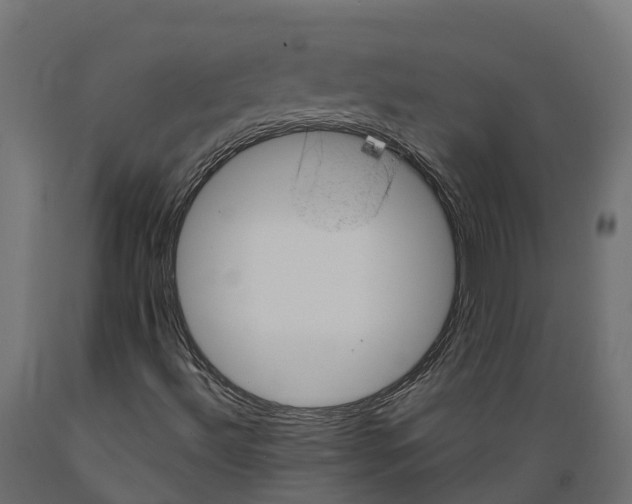 X0000088901492200707061442