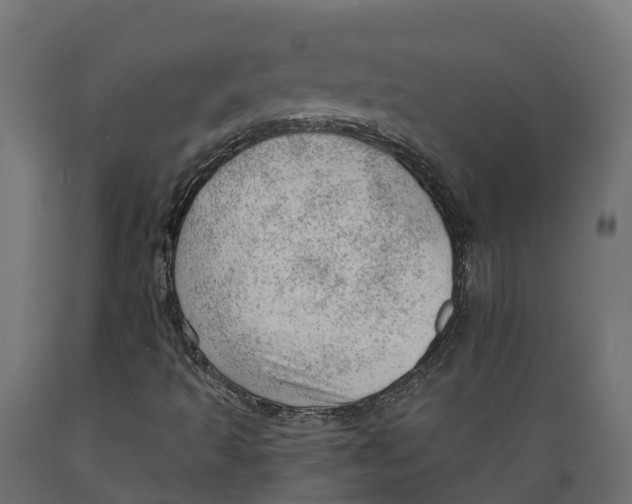 X0000088901493200707061442