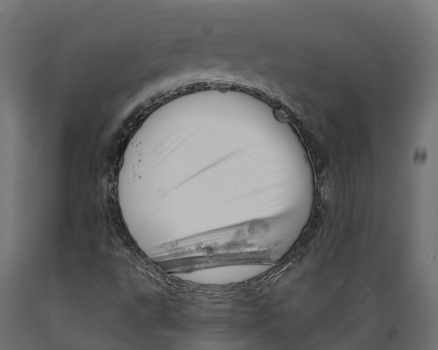 X0000088901495200707061442