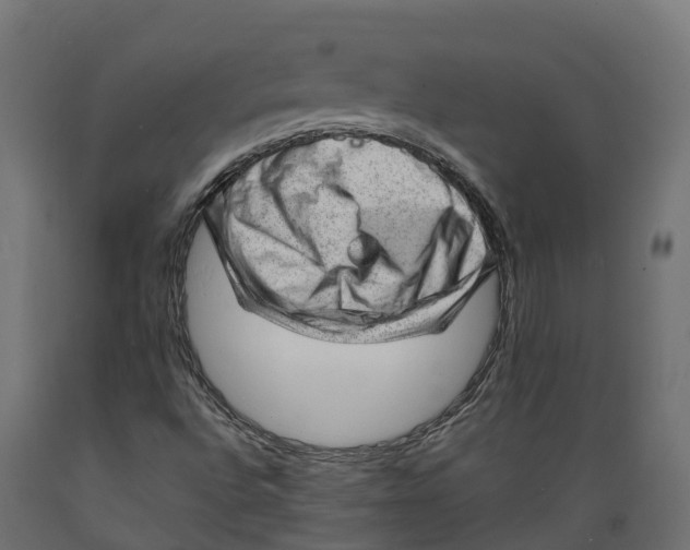 X0000088901496200707061442