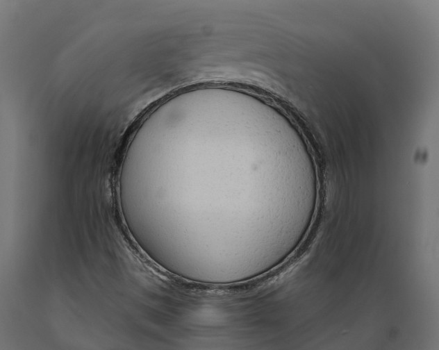 X0000088901497200707061442