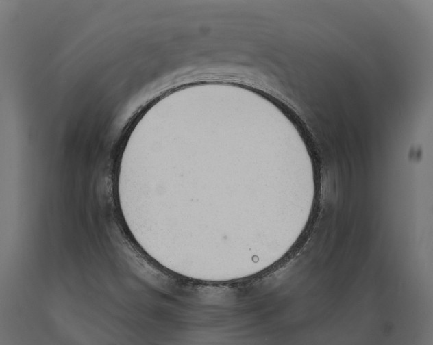 X0000088901498200707061442