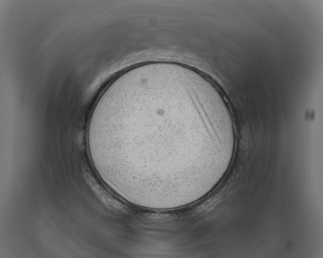 X0000088901499200707061442