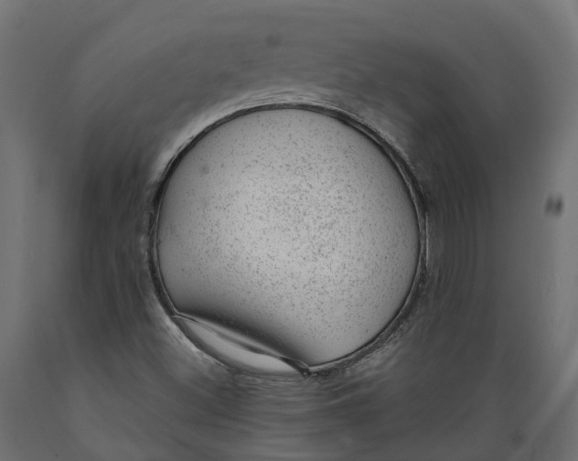 X0000088901500200707061442