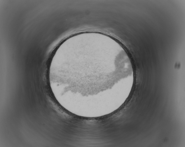 X0000088901502200707061442