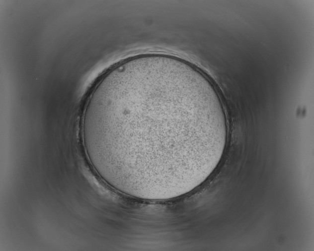 X0000088901503200707061442