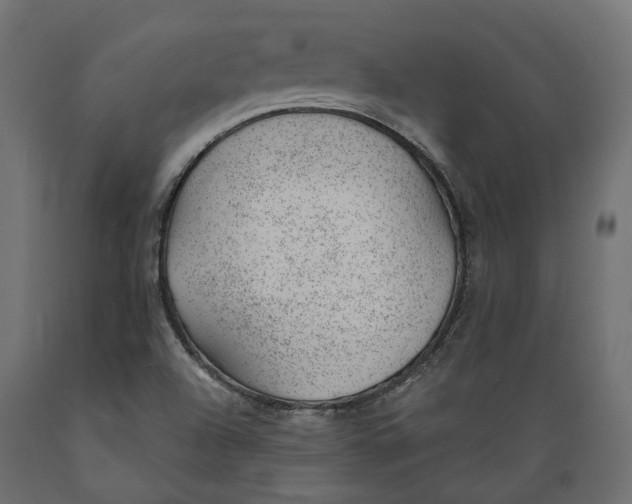 X0000088901504200707061442