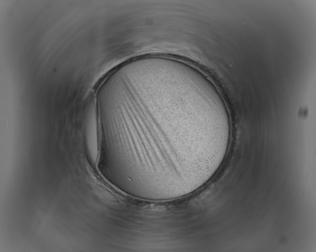 X0000088901505200707061442