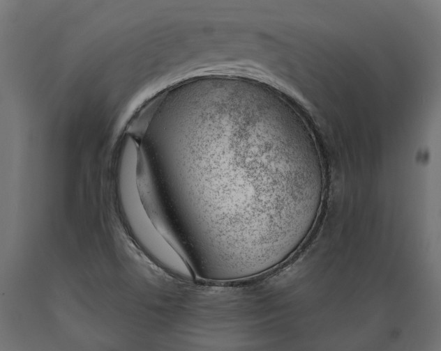 X0000088901506200707061442