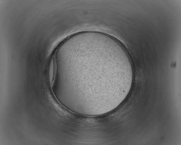 X0000088901507200707061443