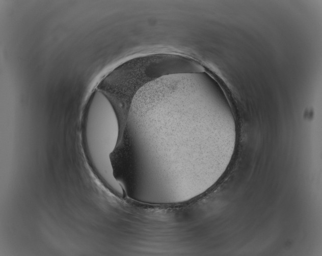 X0000088901508200707061443