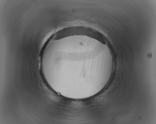 X0000088901509200707061443