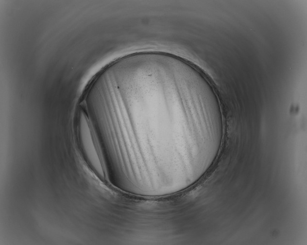 X0000088901510200707061443