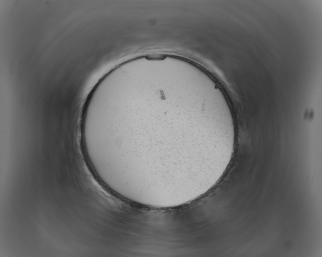 X0000088901512200707061443