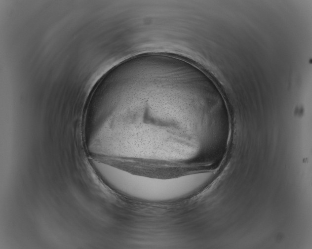 X0000088901513200707061443