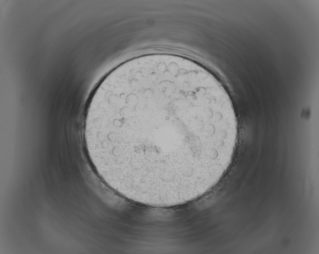 X0000088901514200707061443