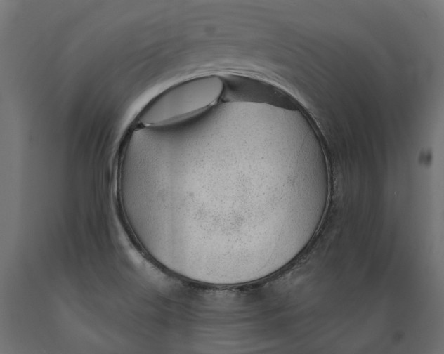 X0000088901515200707061443