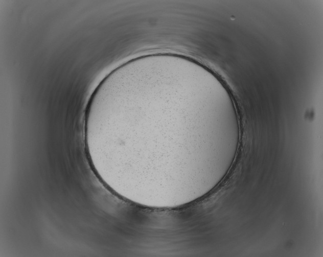 X0000088901516200707061443