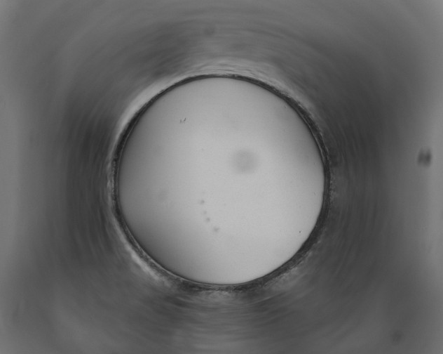 X0000088901517200707061443