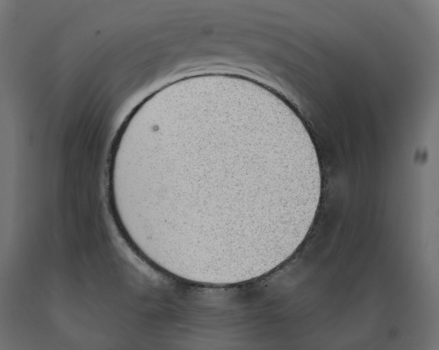 X0000088901518200707061443