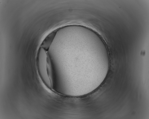 X0000088901519200707061443