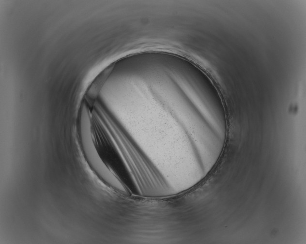 X0000088901520200707061443