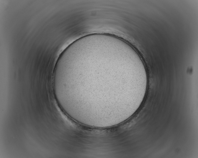 X0000088901521200707061443