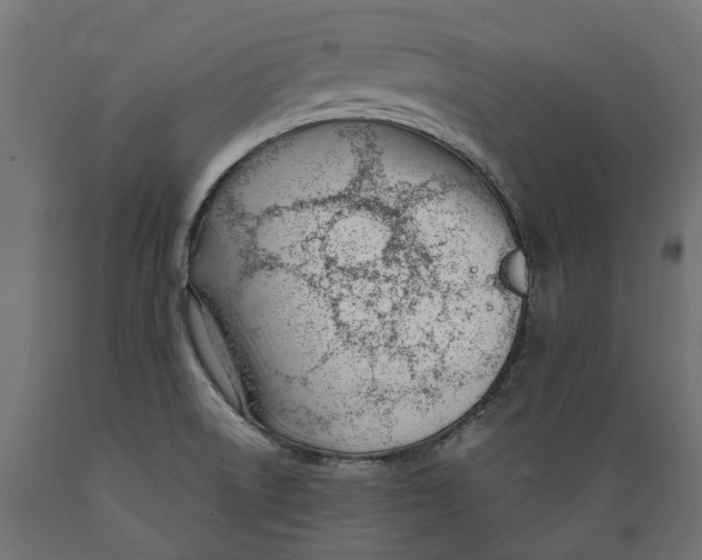 X0000088901522200707061443